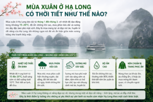 Khám Phá Khí Hậu Hạ Long 4 Mùa: Thời Điểm Lý Tưởng Để Du Lịch Vịnh Hạ Long