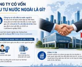 Công Ty Có Vốn Đầu Tư Nước Ngoài Là Gì?