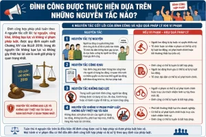 Đình Công Được Thực Hiện Dựa Trên Những Nguyên Tắc Nào?