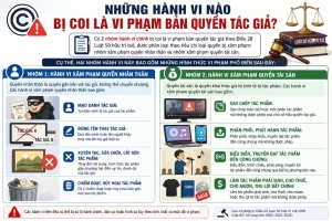 Những Hành Vi Nào Bị Coi Là Vi Phạm Bản Quyền Tác Giả?